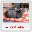 Mi gatita,Misina Fdez Rodrguez